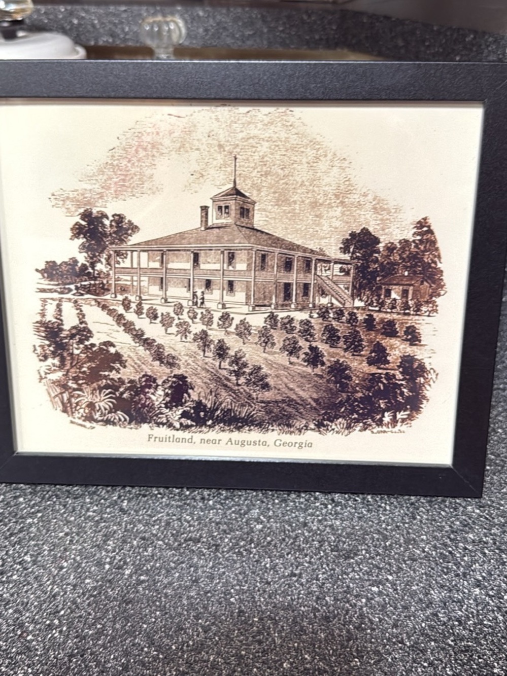 Framed Vintage Fruitland Print - Brown Illustration